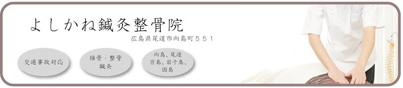 よしかね鍼灸整骨院