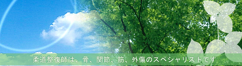 斉藤接骨院