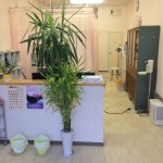 清海鍼灸接骨院受付