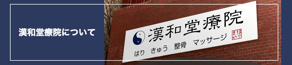 漢和堂療院
