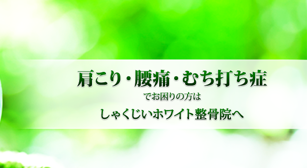 しゃくじいホワイト整骨院