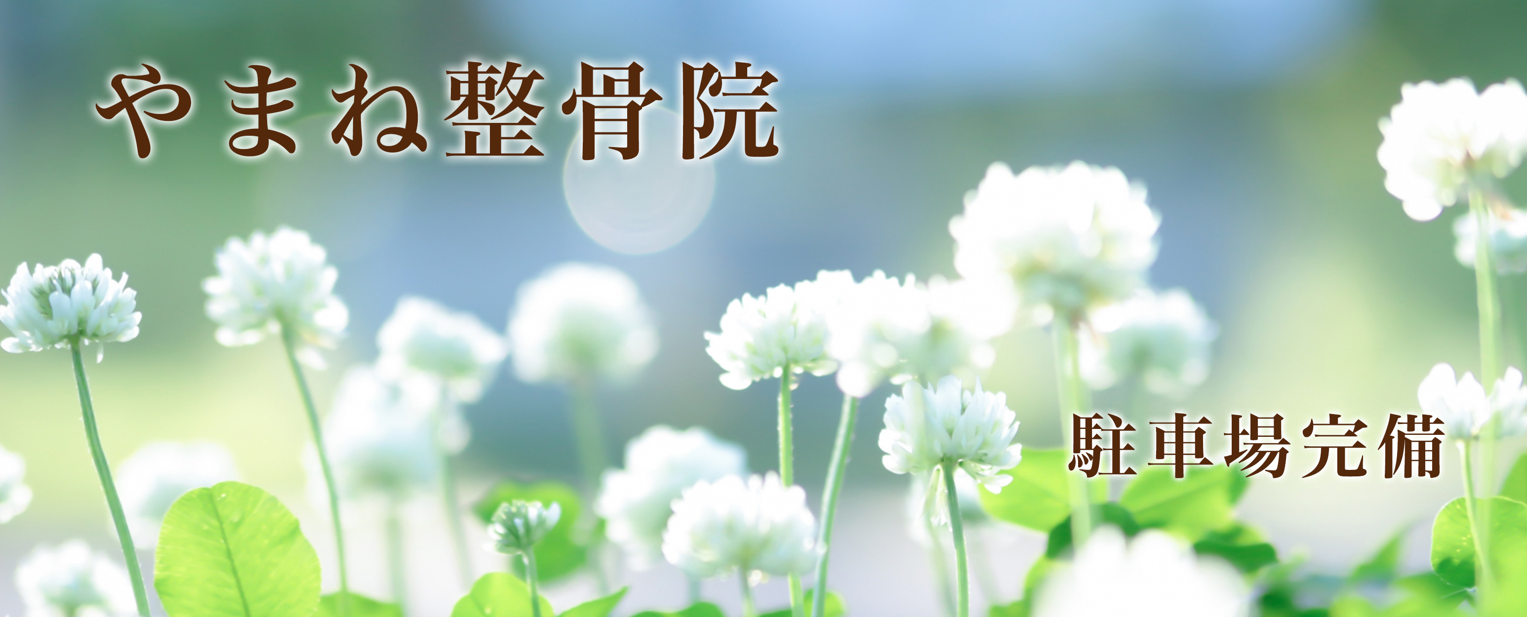 やまね整骨院