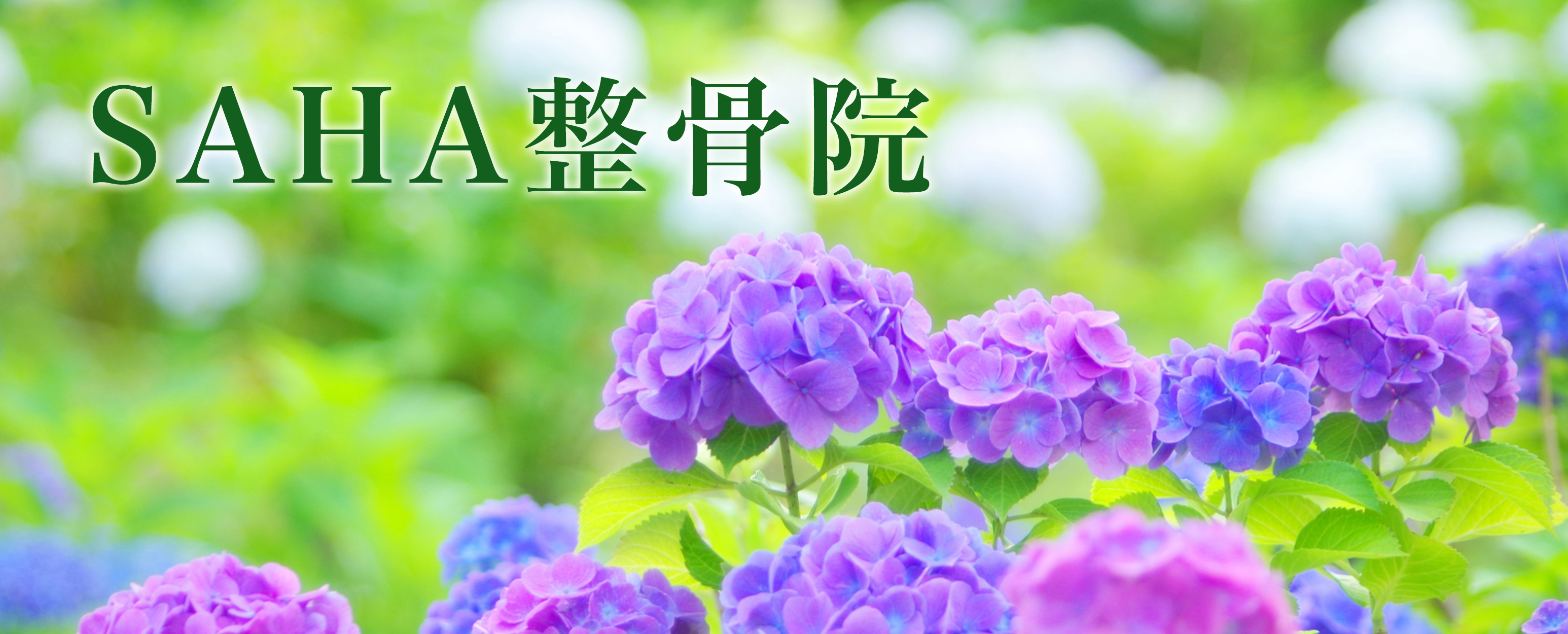 SAHA整骨院