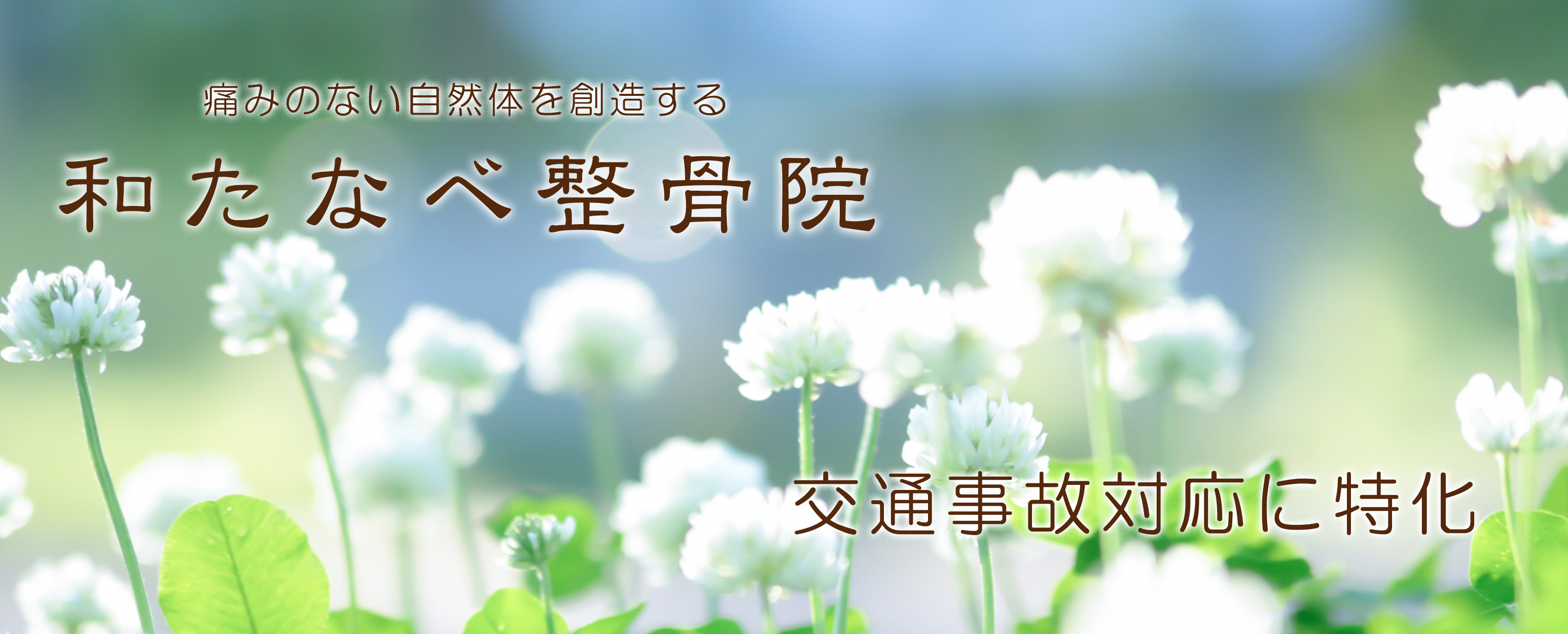 和たなべ整骨院