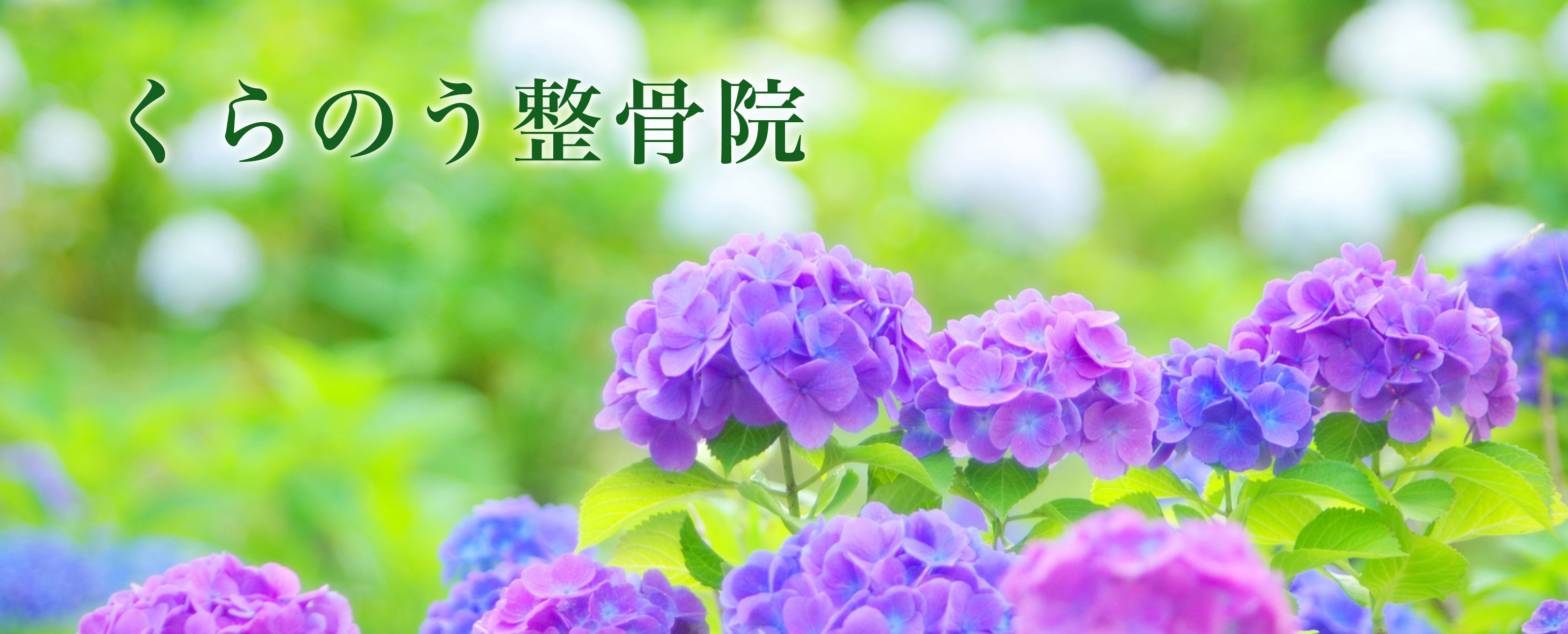 くらのう整骨院