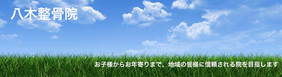 八木整骨院