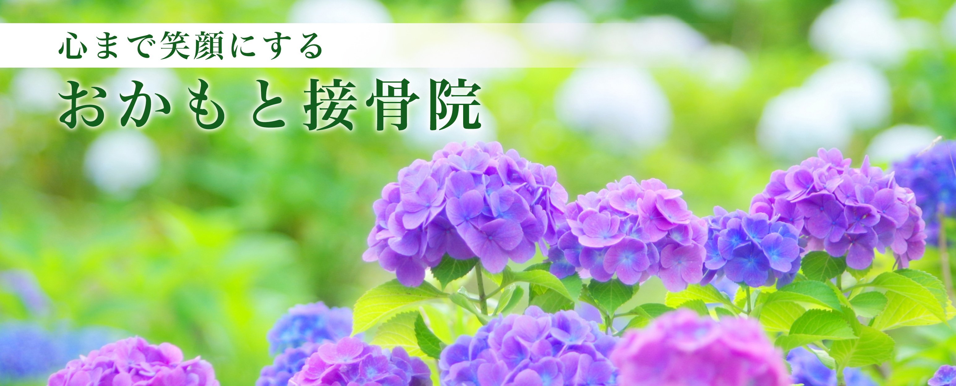 おかもと接骨院