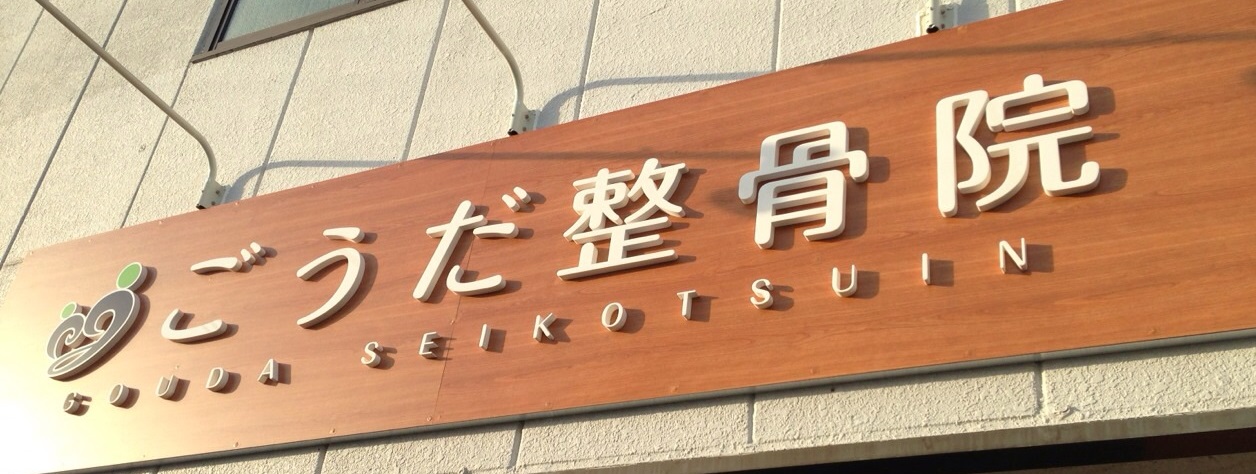 ごうだ整骨院