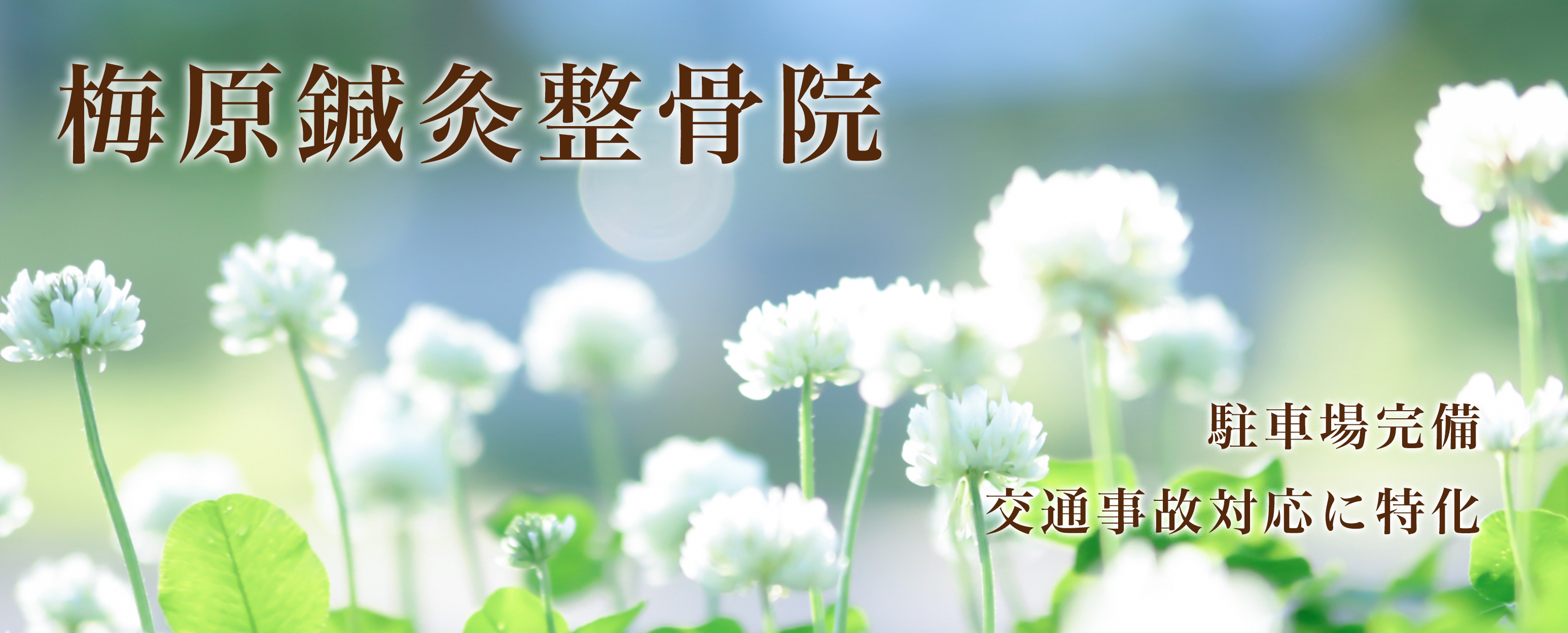 梅原鍼灸整骨院