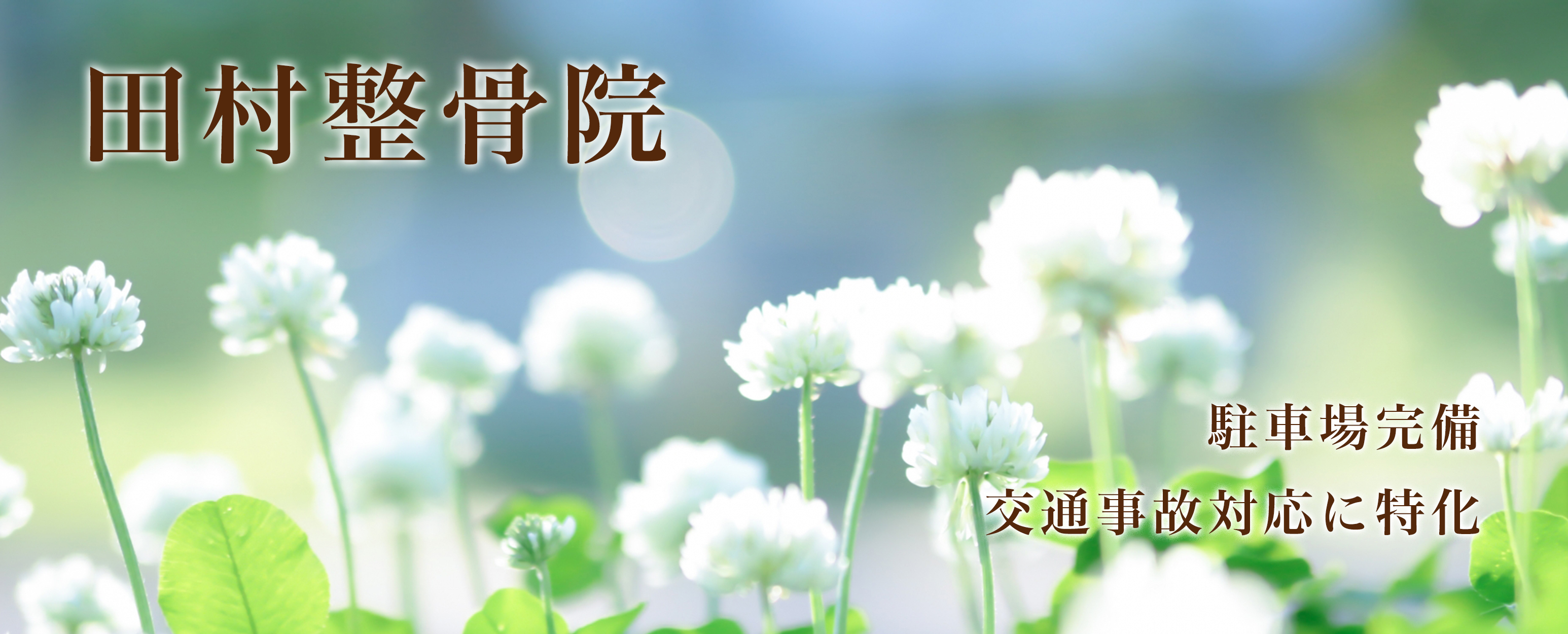 田村整骨院