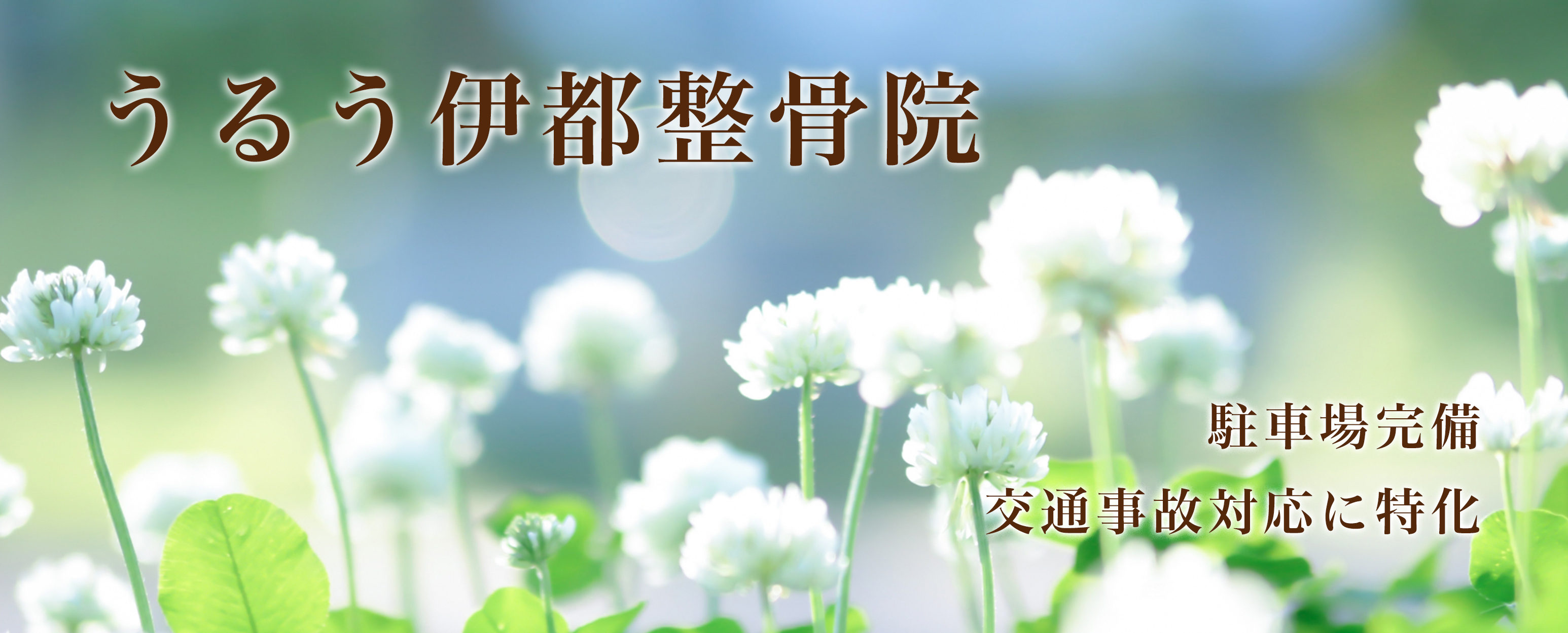うるう伊都整骨院