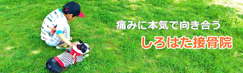 しろはた接骨院