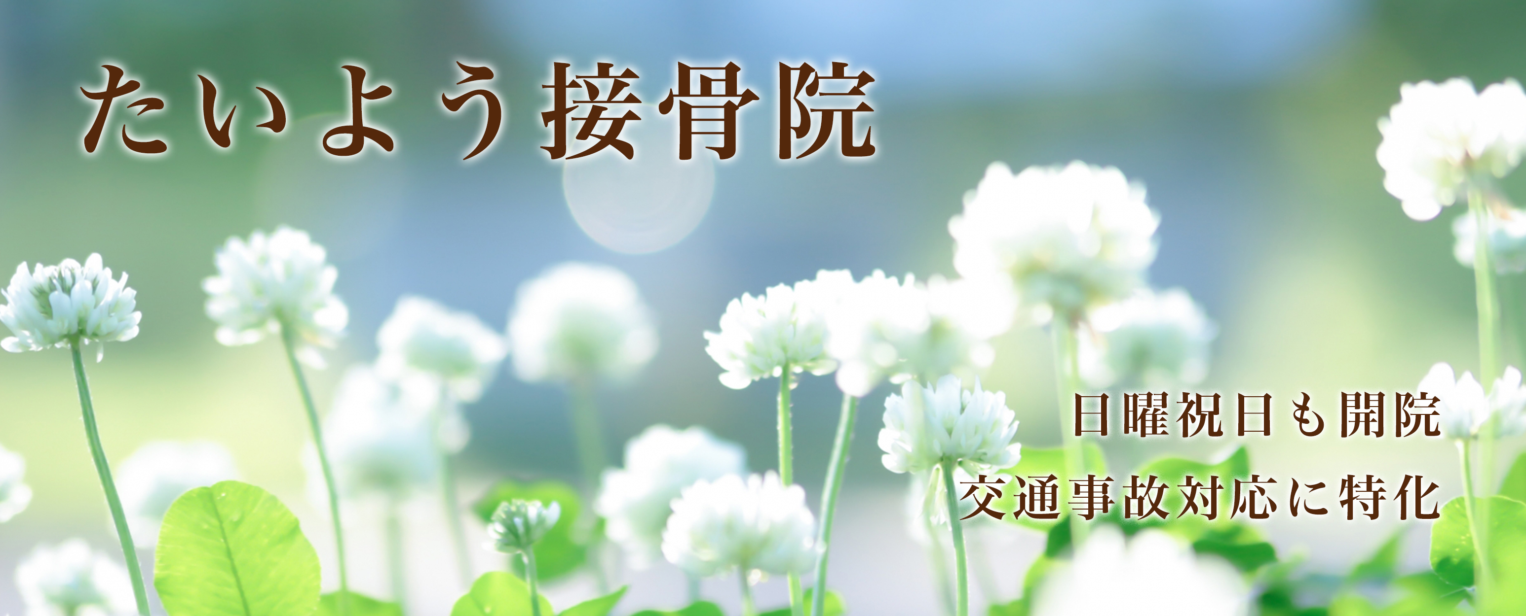 たいよう接骨院