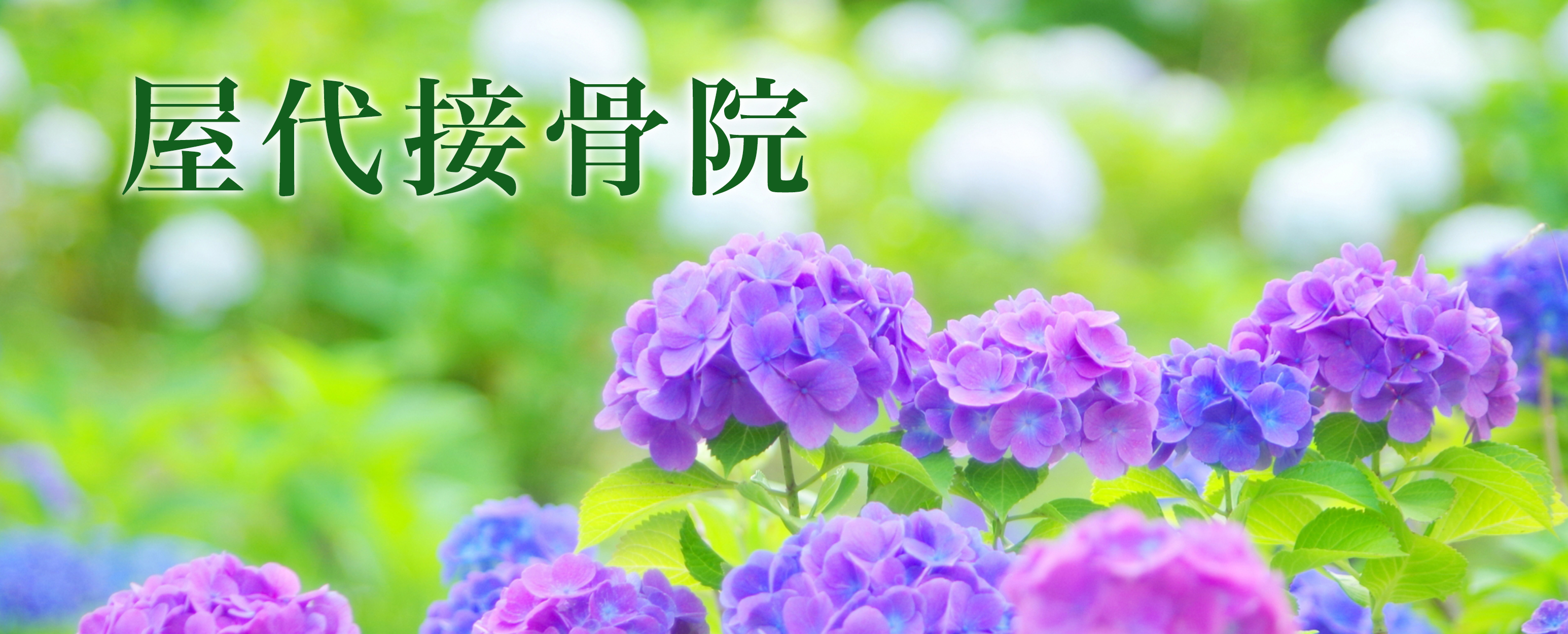 屋代接骨院