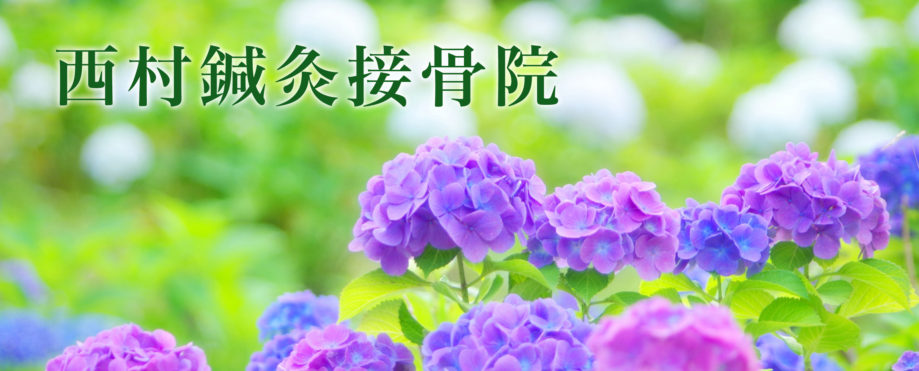 西村鍼灸接骨院