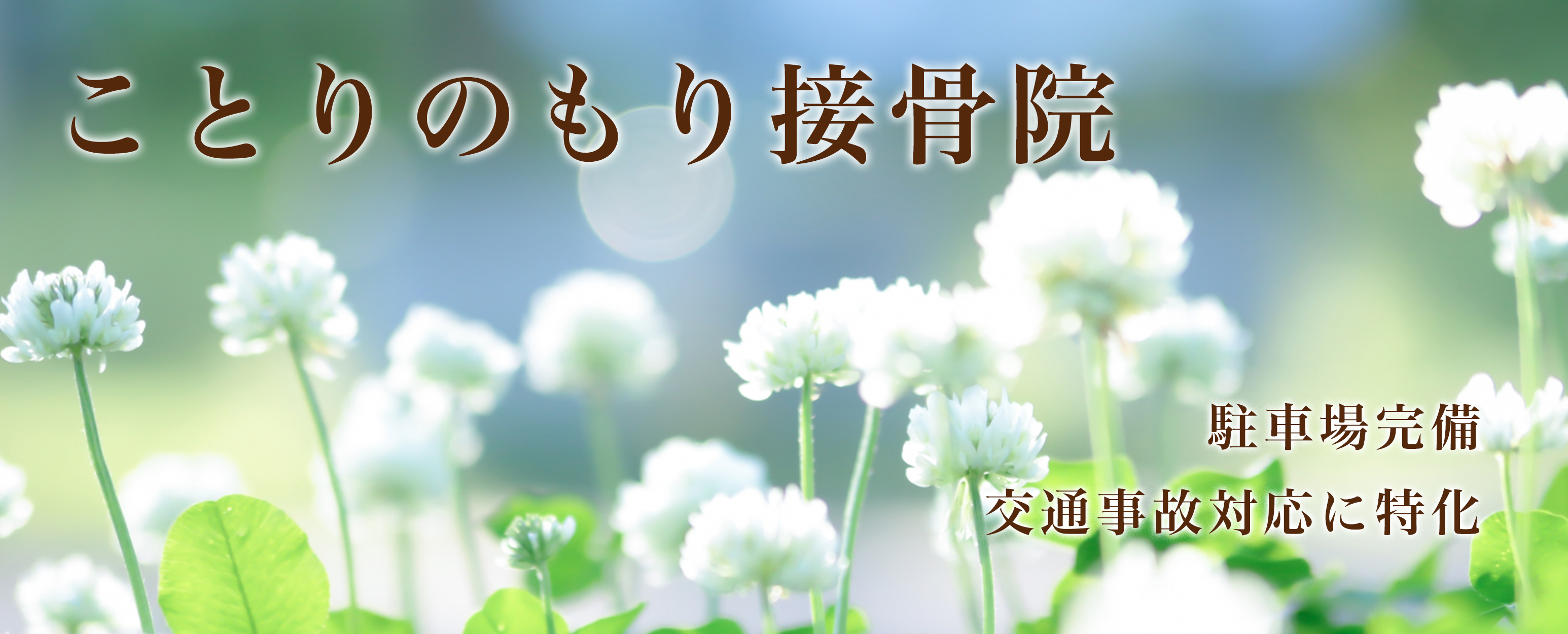 ことりのもり接骨院