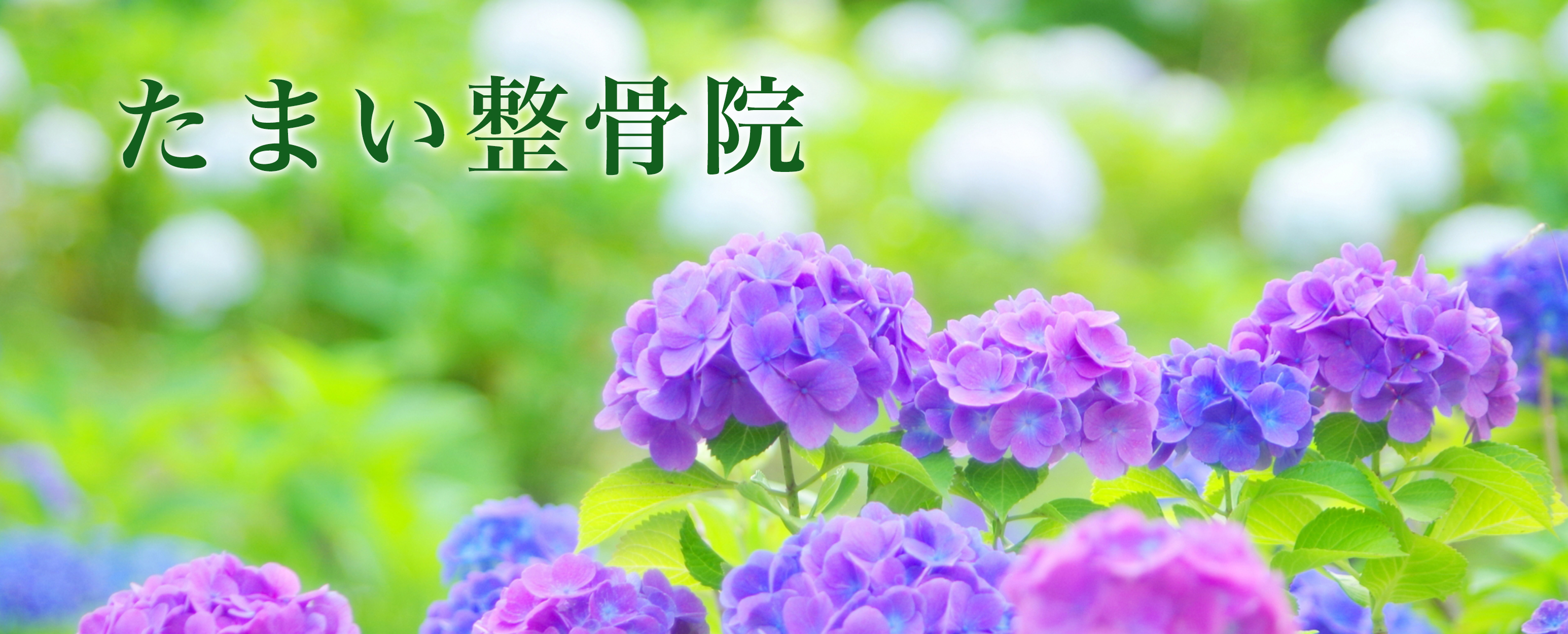 たまい整骨院