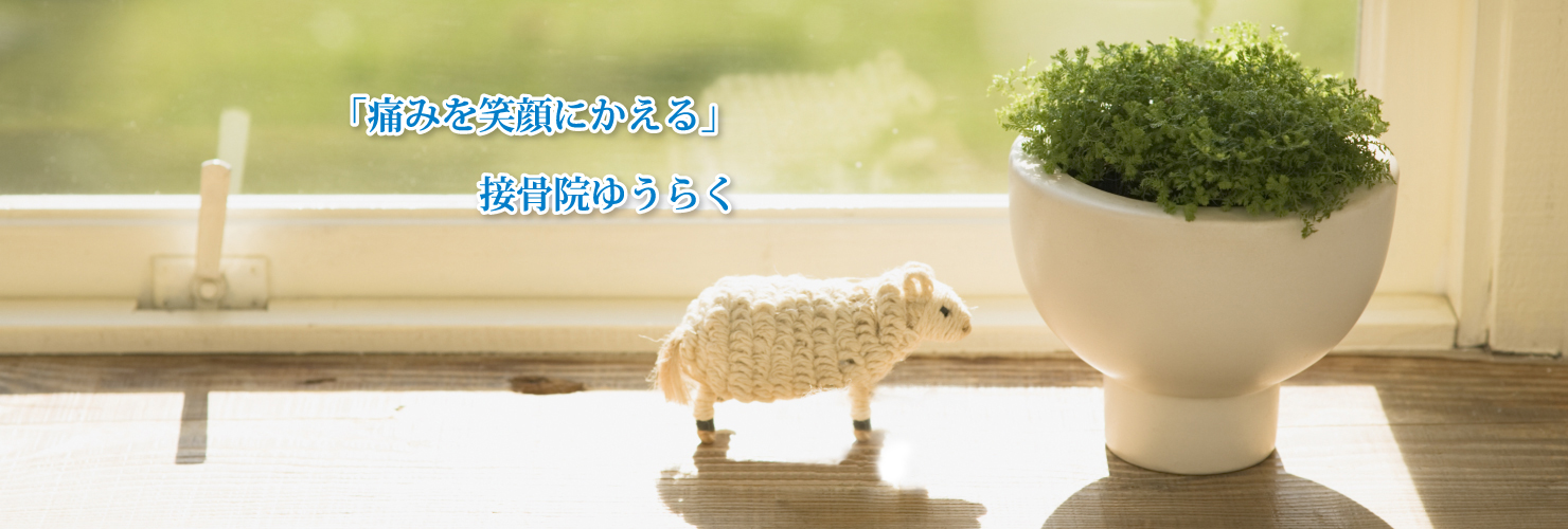接骨院ゆうらく