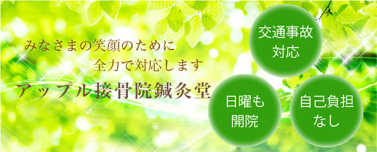 アップル接骨院鍼灸堂