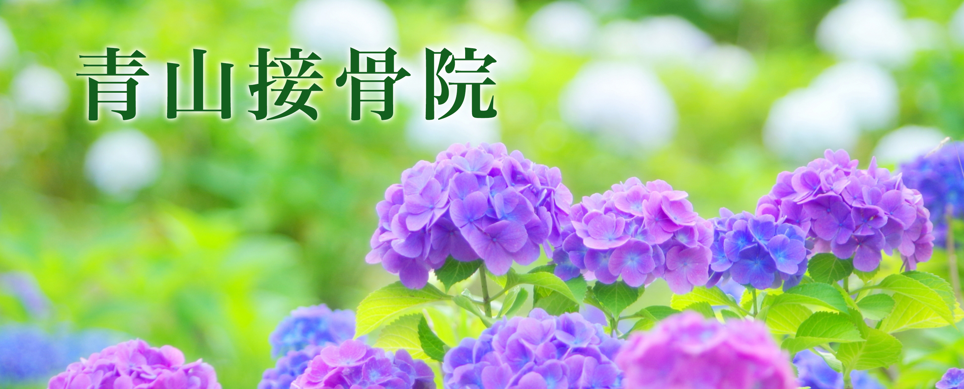 青山接骨院