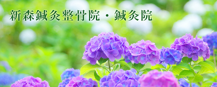 新森鍼灸整骨院・鍼灸院