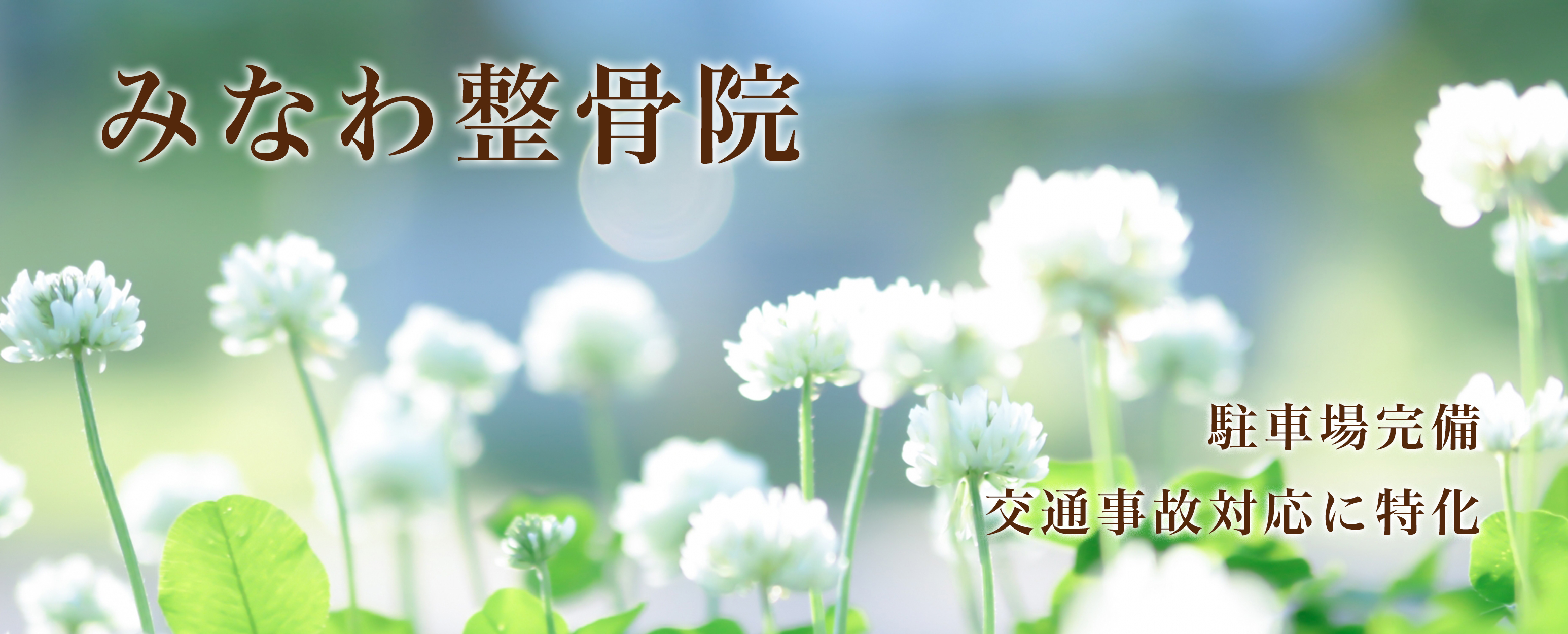 みなわ整骨院