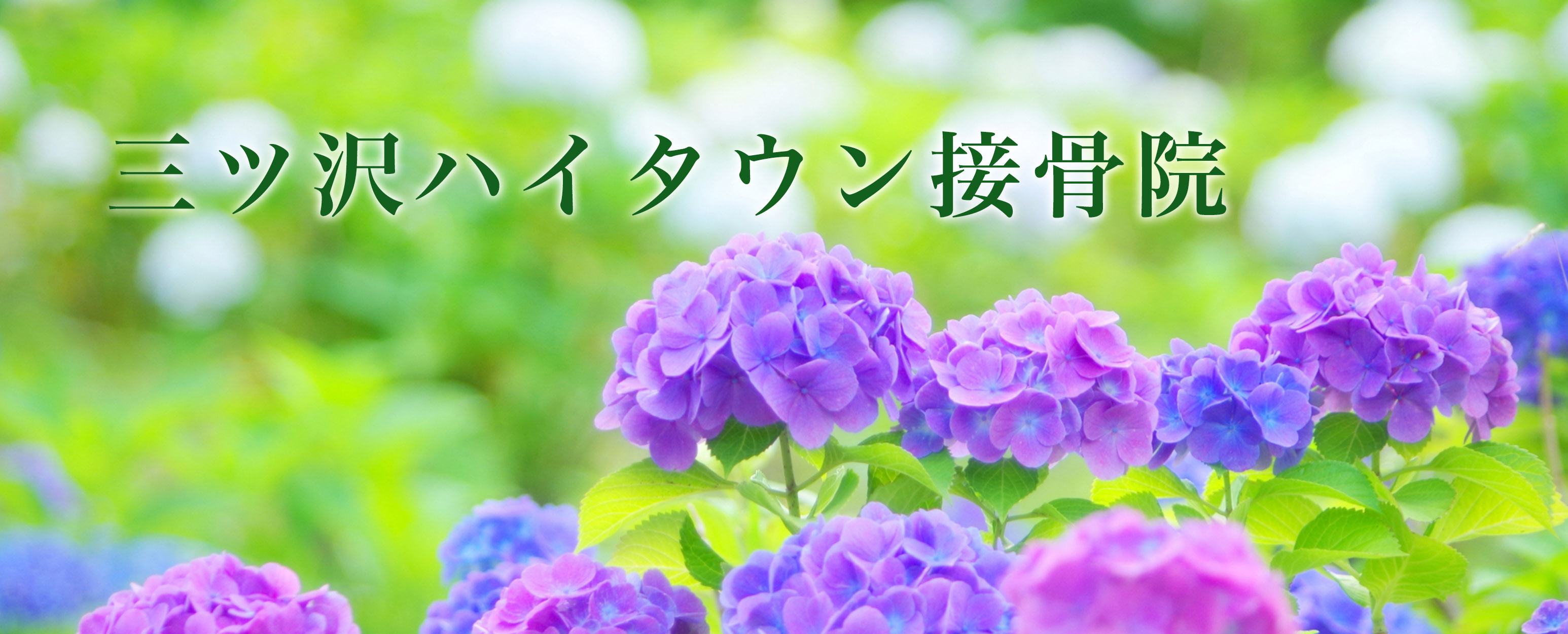 三ツ沢ハイタウン接骨院