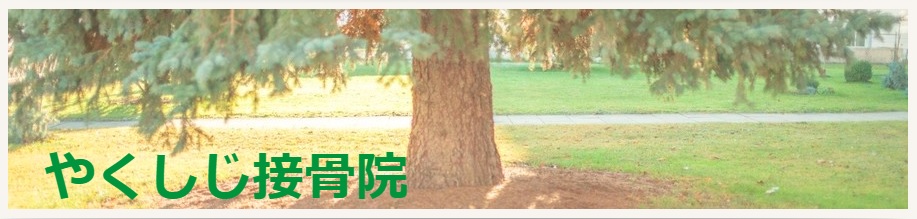 やくしじ接骨院