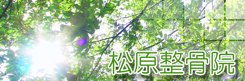 松原整骨院